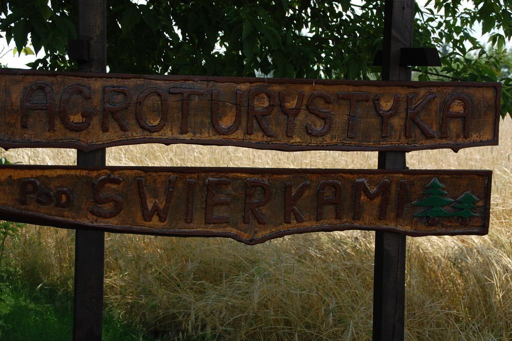Agroturystyka Pod Swierkami Nadrybie エクステリア 写真