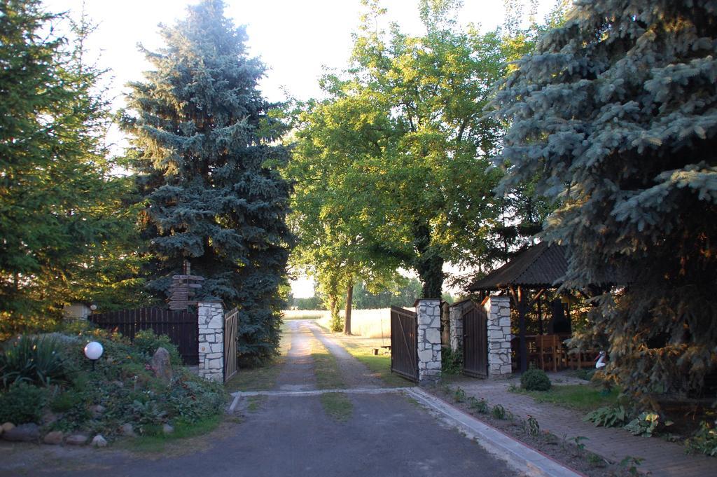 Agroturystyka Pod Swierkami Nadrybie エクステリア 写真