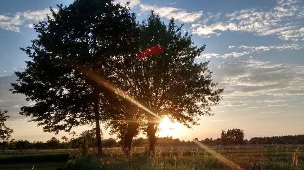 Agroturystyka Pod Swierkami Nadrybie エクステリア 写真