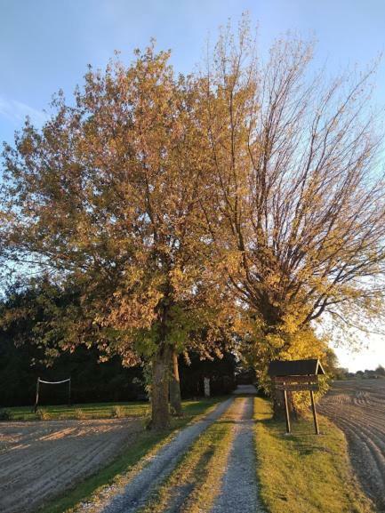 Agroturystyka Pod Swierkami Nadrybie エクステリア 写真